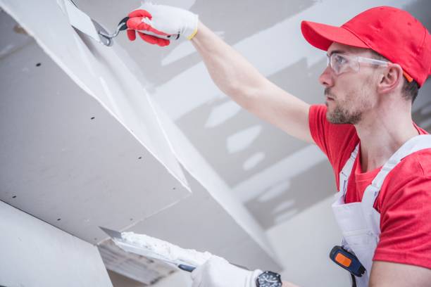 Best Fire-Damaged Drywall Repair  in Raceland, KY